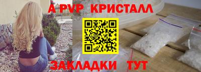 хмурый Кингисепп