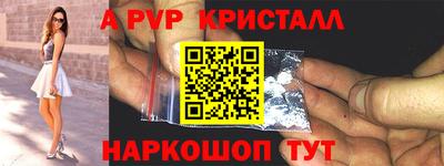 хмурый Кингисепп