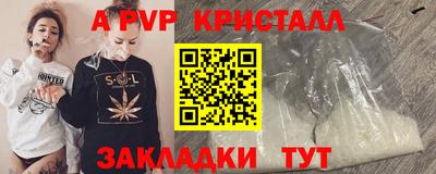 хмурый Кингисепп