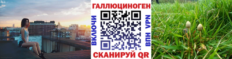 Псилоцибиновые грибы Psilocybe  Тобольск 