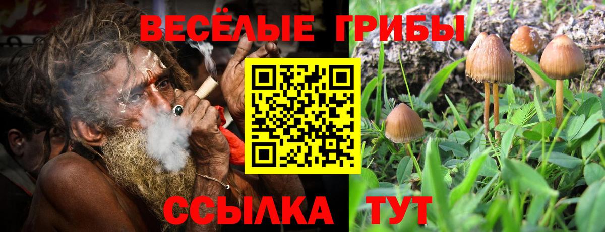 Псилоцибиновые грибы ЛСД  Вход с VPN  Тобольск  Галлюциногенные грибы MAGIC MUSHROOMS 
